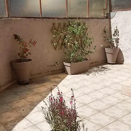 City Center Garden House